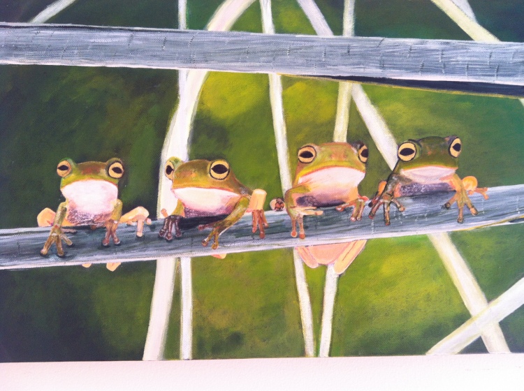 4 frogs